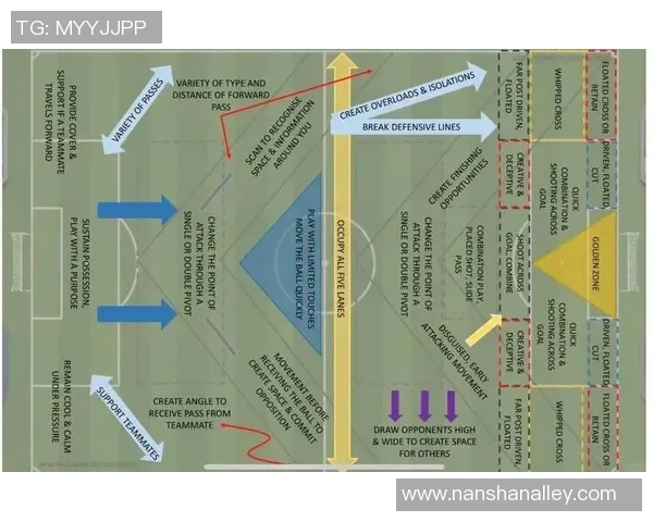 从零基础到足球高手：全面掌握足球技术与战术的实用指南