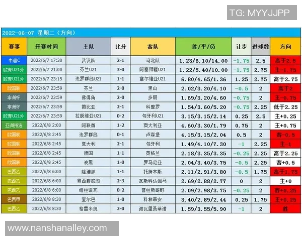 南京篮球队灵活性表现的数据分析与战术调整探讨