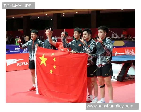 南京乒乓球队技术分析与发展探讨聚焦乒乓球运动的未来挑战与机遇