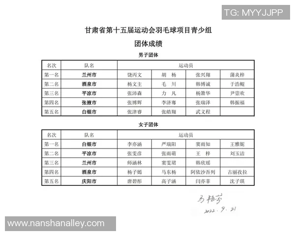 成都羽毛球队在联赛中的耐力表现分析与总结
