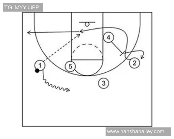 深圳排球队的转换体系与战术创新分析探讨