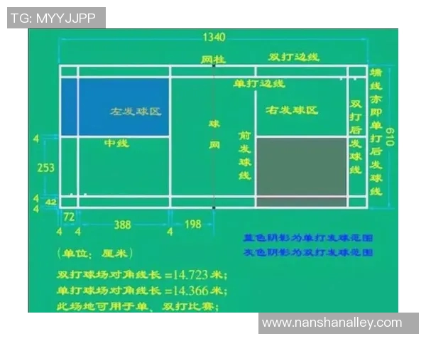 赛后分析：杭州羽毛球队与武汉羽毛球队灵活性对比及战术探讨