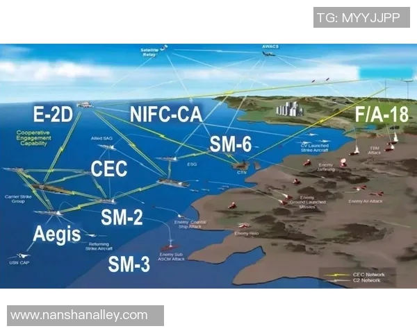 上海排球队反击战术解析与未来展望探讨